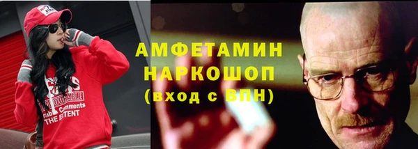 прущий лед Бородино