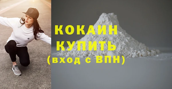 прущий лед Бородино