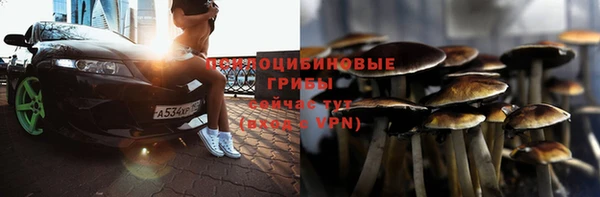 прущий лед Бородино