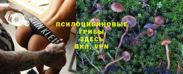 apvp Бугульма