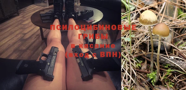 apvp Бугульма