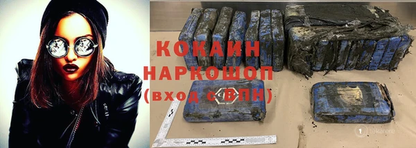 прущий лед Бородино