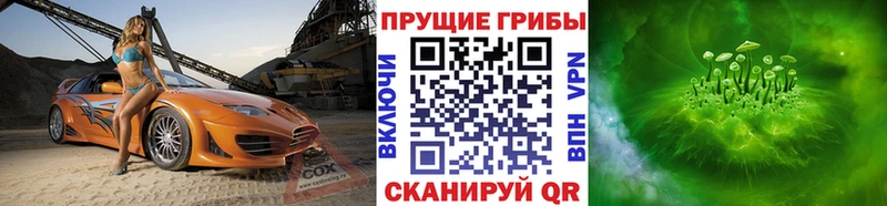 Псилоцибиновые грибы прущие грибы хочу Дальнереченск